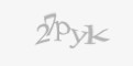 Защитный код