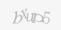 Защитный код